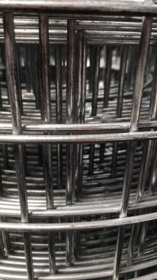 z6192021910649_ef0d2669d885643ed2ad050e24570b41