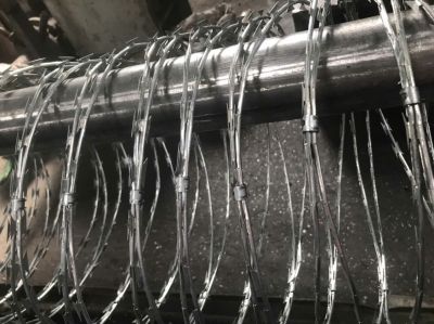 z7759289301356_fc622be2fbe17fa15b70bdd56873d637